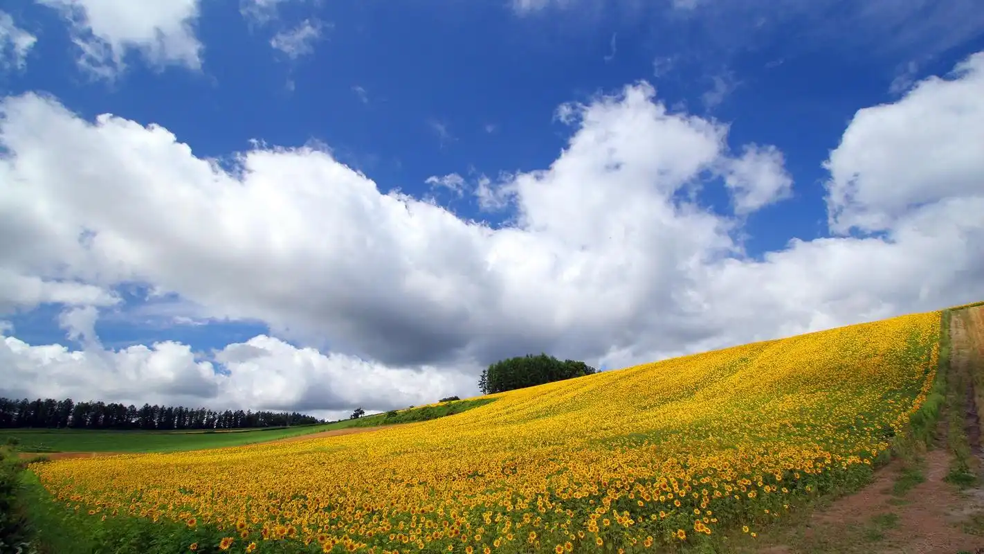 相对号
